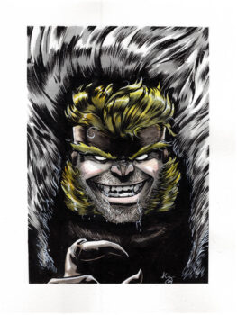 Sabertooth from X-Men